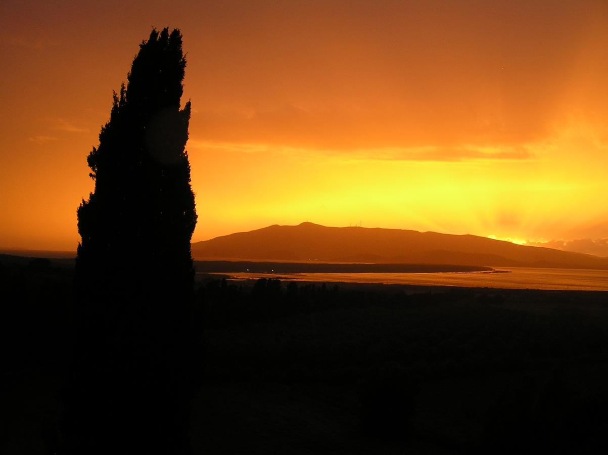Agriturismo Grazia Orbetello Exterior foto